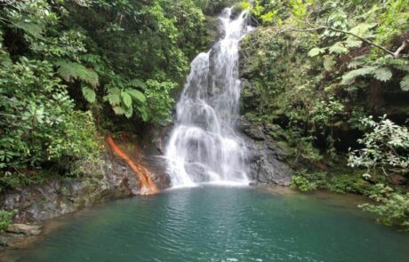 Cockscomb Hike and Waterfall - Ceiba Beach Resort