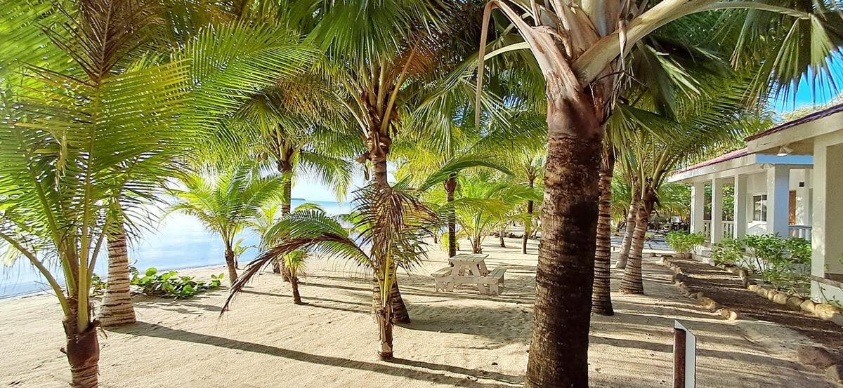 beach-at-ceiba-beach-resort Beach at Ceiba Beach Resort