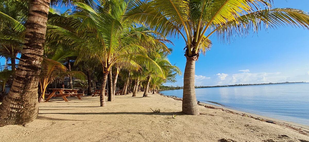 ceiba-beach-resort-beach The Beach at Ceiba Beach Resort